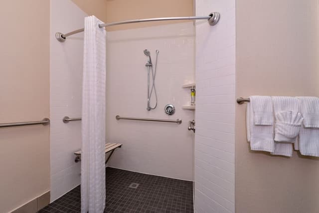 Studio Suite, 1 King Bed, Roll-in Shower (Comm)
