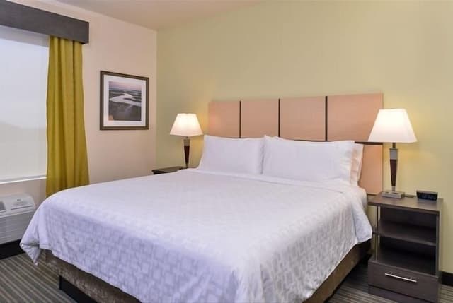 Suite, 1 King Bed