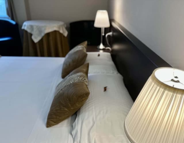 Classic Room