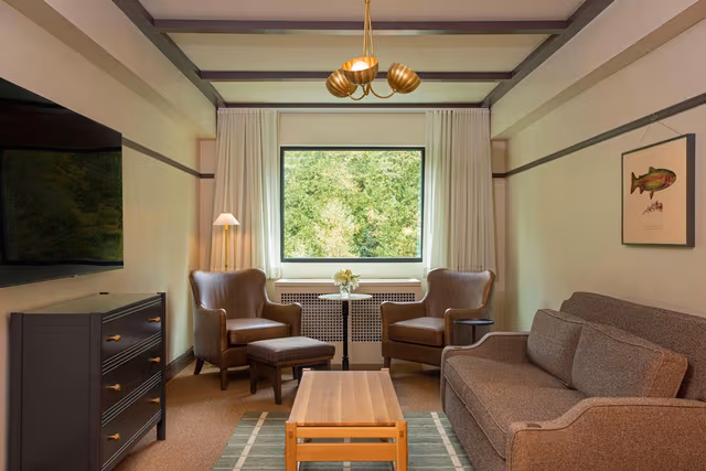 Suite, 1 King, Sofa bed