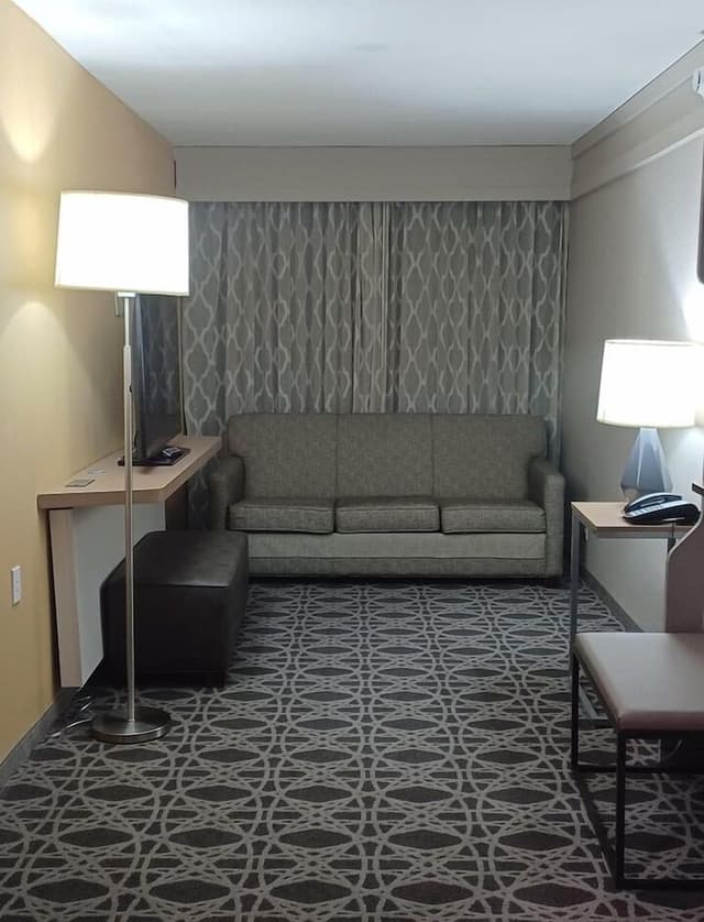Suite, 1 King Bed, Accessible