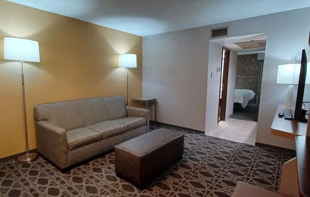 Suite, 1 King Bed