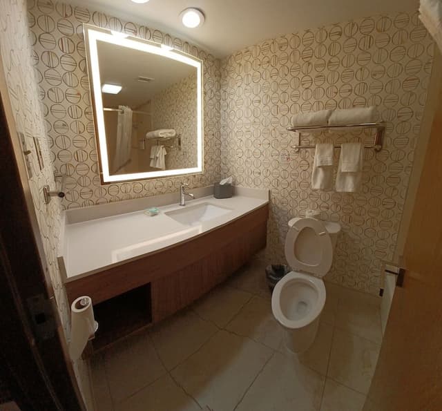 Suite, 1 King Bed