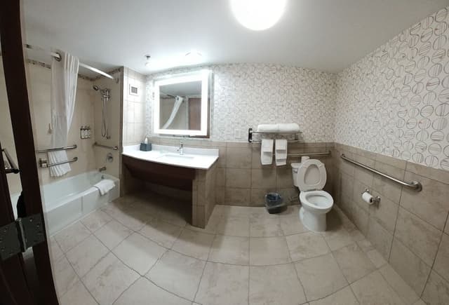 Suite, 1 King Bed, Accessible