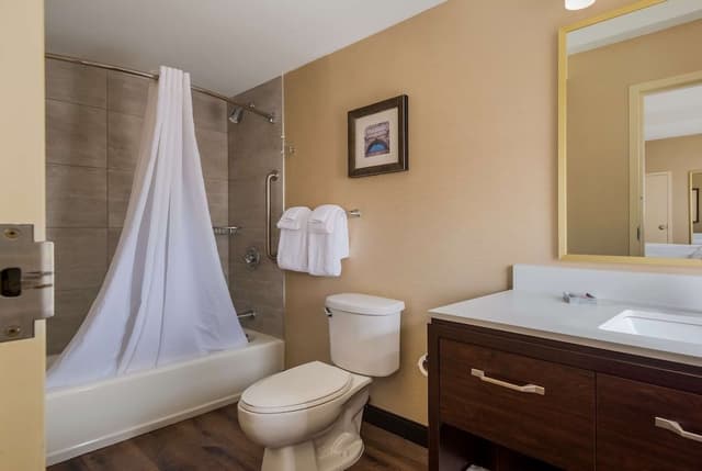 Suite, 1 King Bed, Accessible, Kitchenette (with Sofabed)