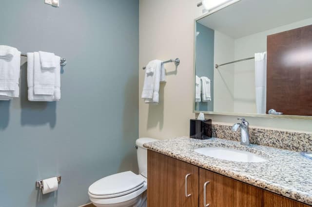 1 King Bed, Efficiency, Suite, Nonsmoking, Accessible