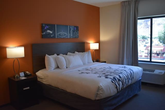 Standard Room, 1 King Bed, Non Smoking