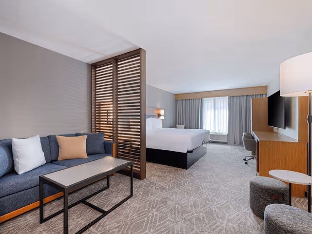 Premium Room, 1 King Bed with Sofa bed