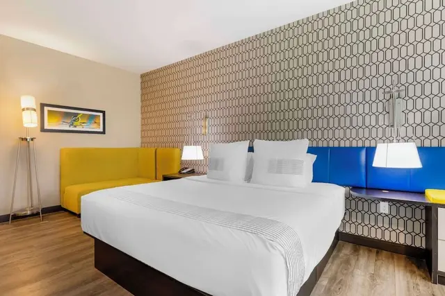 Standard Room, 1 King Bed, Non Smoking, Refrigerator (Larger Room)