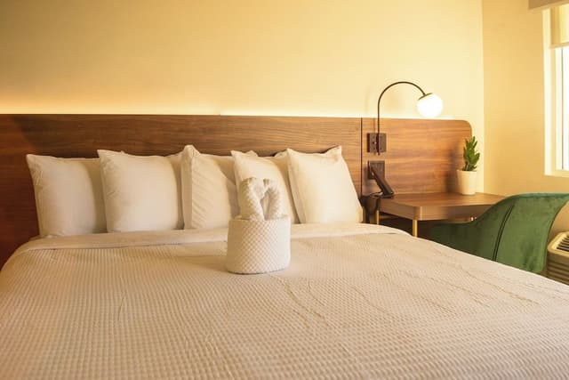Premium Suite, 1 King Bed