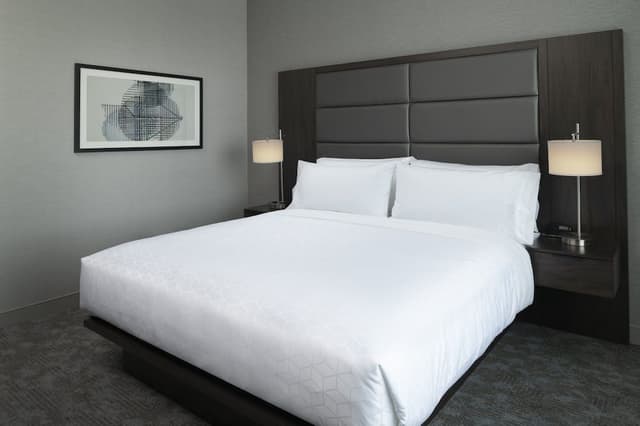 Standard Room, 1 King Bed, Accessible (Communications)
