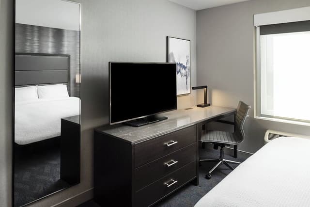 Suite, 1 King Bed with Sofa bed