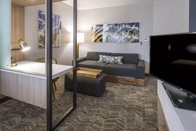 Studio, 1 King Bed with Sofa bed