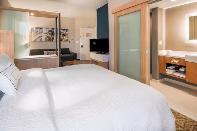 Studio, 1 King Bed with Sofa bed