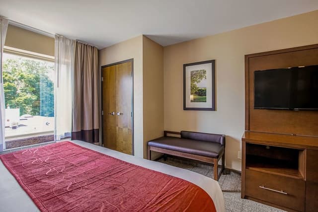 Suite, 1 King Bed, Non Smoking