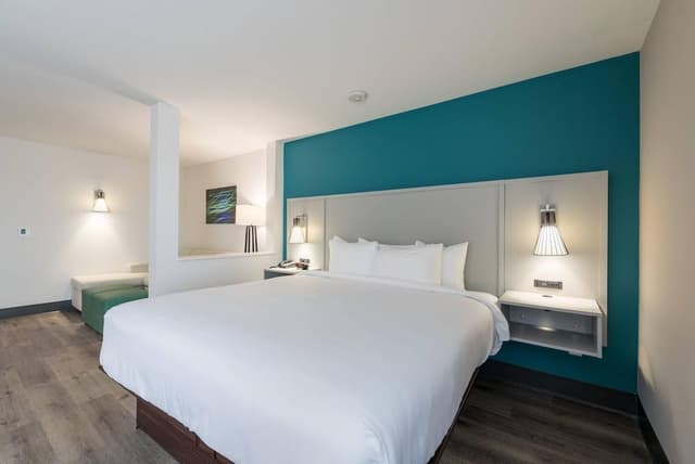 Suite, 1 King Bed, Non Smoking (Upgrade)