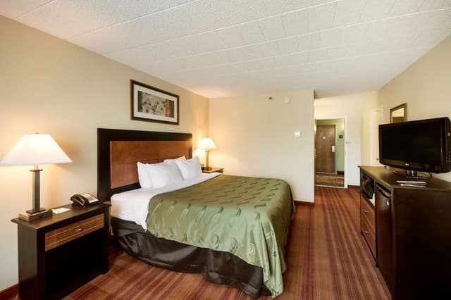 Standard Room, 1 King Bed, Accessible, Non Smoking