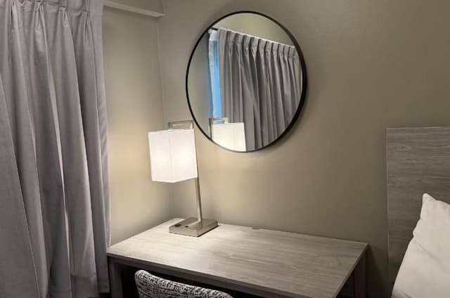 1 King Bed, Mobility/Hearing Accessible Room, Roll-In Shower, Non-Smoking