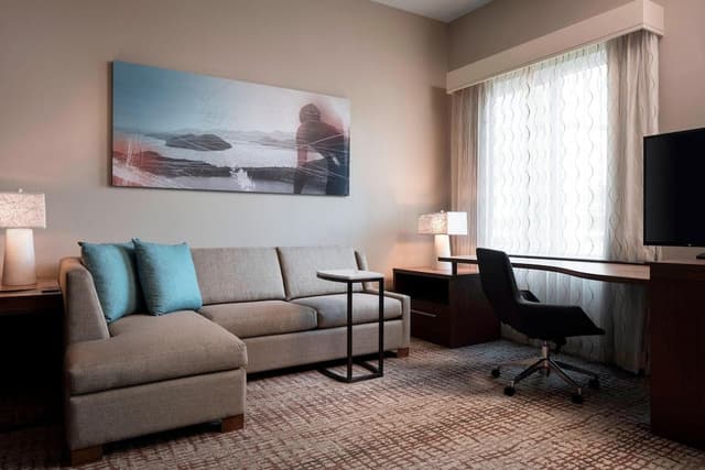 Studio, 1 King Bed with Sofa bed (Mobility Accessible, Tub)