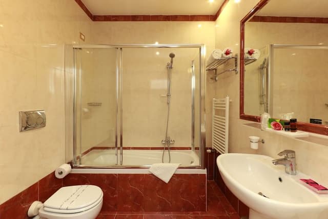 Standard Double or Twin Room