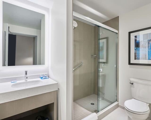 Suite, 1 Bedroom