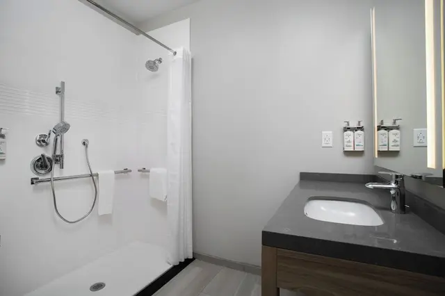Suite, 1 King Bed, Roll-in Shower (Mobility Accessible)