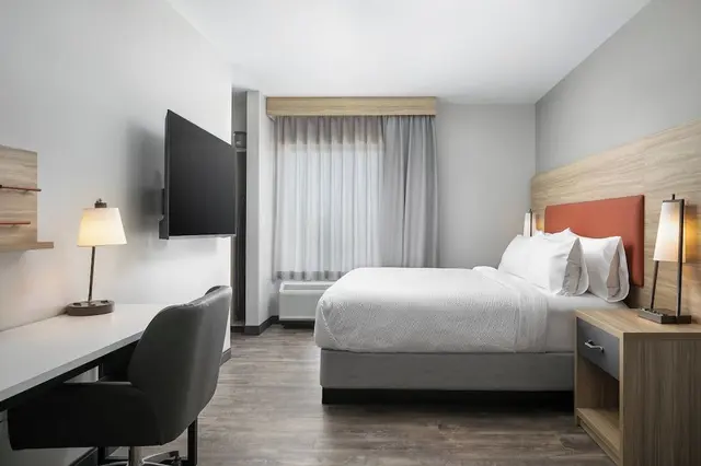 Standard Suite