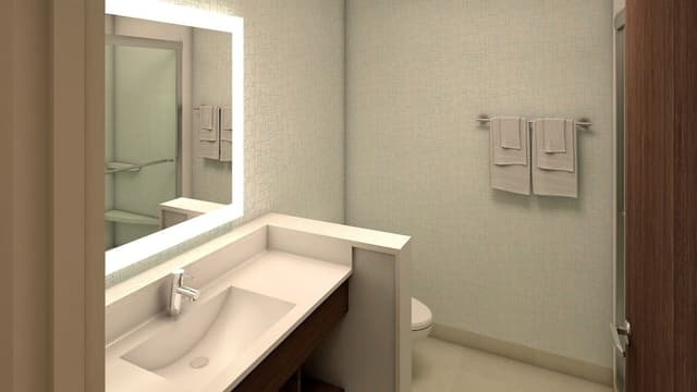 Standard Room, 1 King Bed, Accessible (Communications, Mobility)