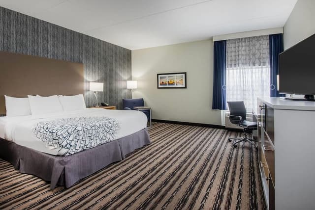 Room, 1 King Bed, Accessible, Non Smoking (Mobility/Hearing, Roll-In Shower)