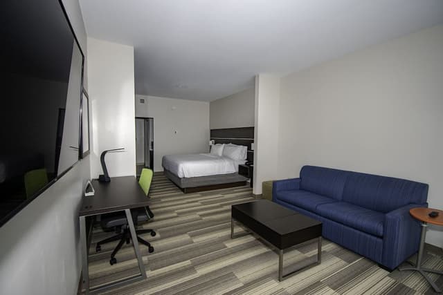 Suite, 1 King Bed with Sofa bed