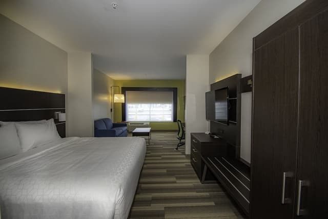 Suite, 1 King Bed with Sofa bed