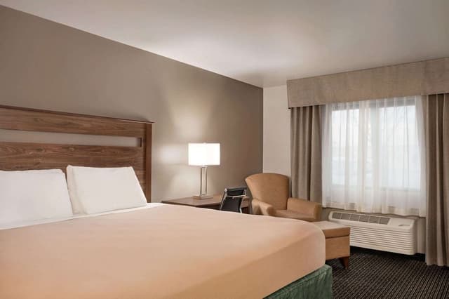 Room, 1 King Bed, Non Smoking