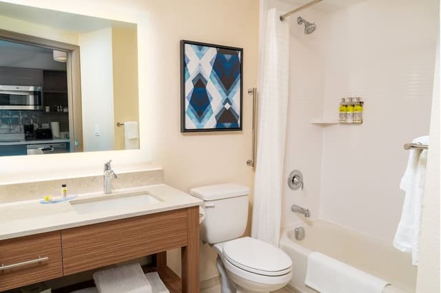 Studio Suite, 1 King Bed