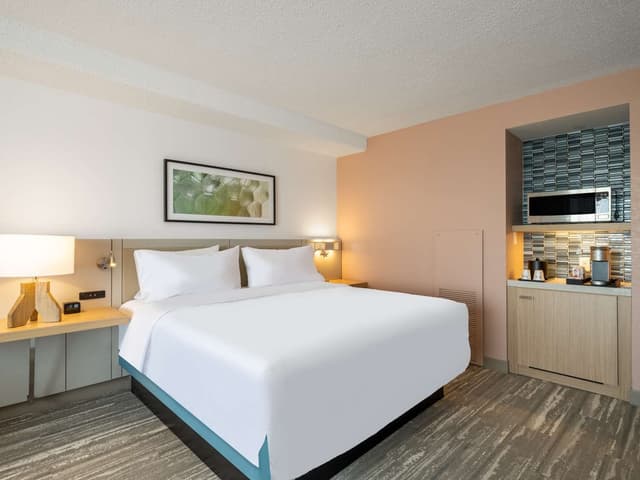 1 KING HEARING ACCESSIBLE ROOM RIVER VIEW
