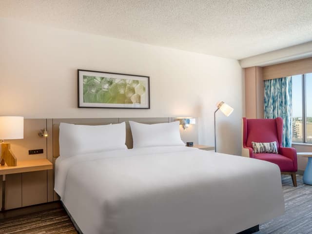 1 KING BED RIVER VIEW