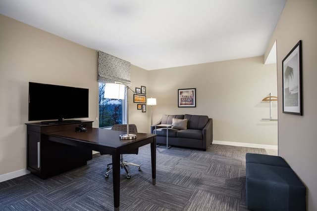 1 KING MICROWV/FRIDGE/WET BAR STUDIO SUITE NS