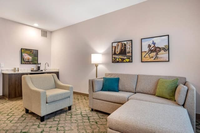 Suite, 1 King Bed with Sofa bed, Non Smoking