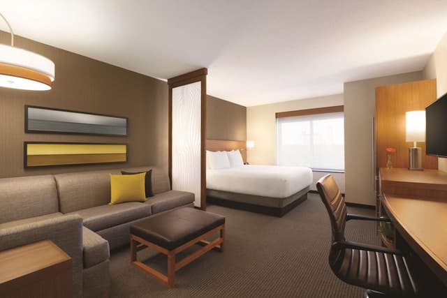 Suite, 1 King Bed with Sofa bed, Accessible (1 Bedroom, Shower)