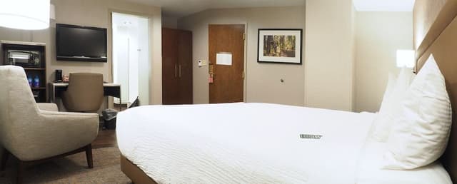 Room, 1 Queen Bed