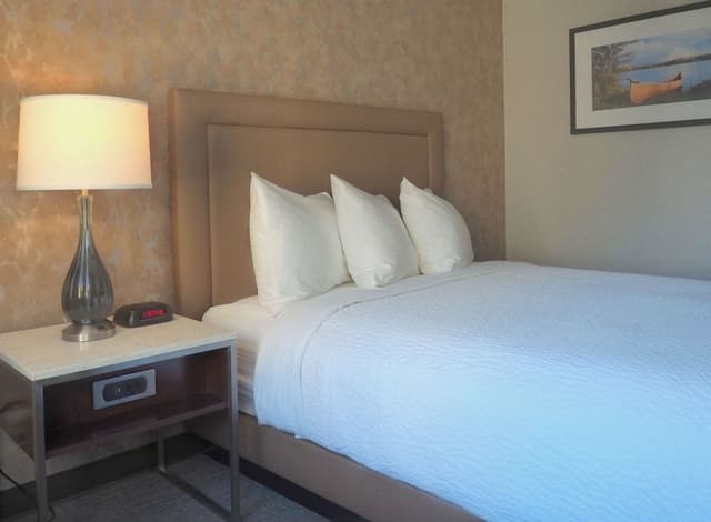 Room, 1 Queen Bed