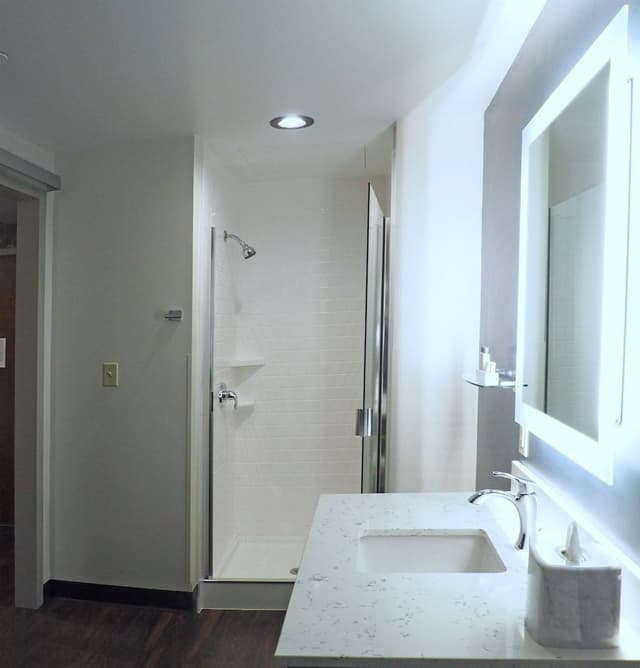 Room, 1 King Bed