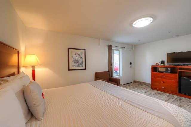 Room, 1 King Bed