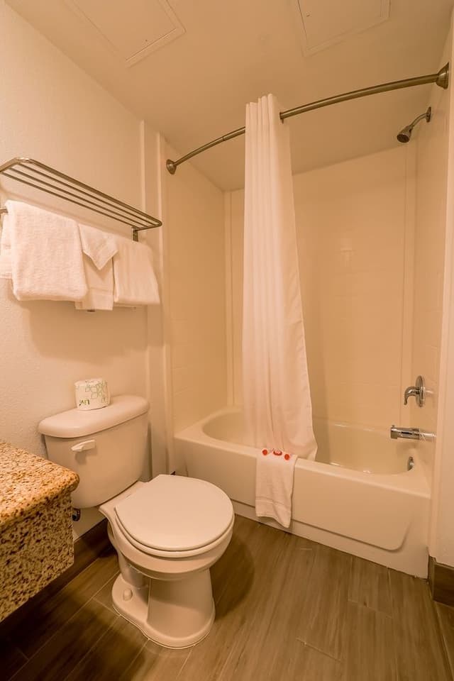 Room, 1 King Bed