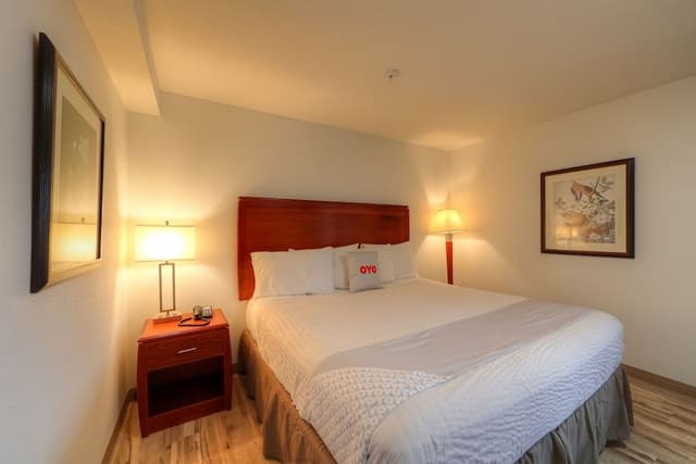 Room, 1 King Bed