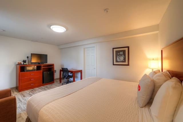 Room, 1 King Bed
