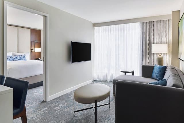 Suite, 1 King Bed with Sofa bed