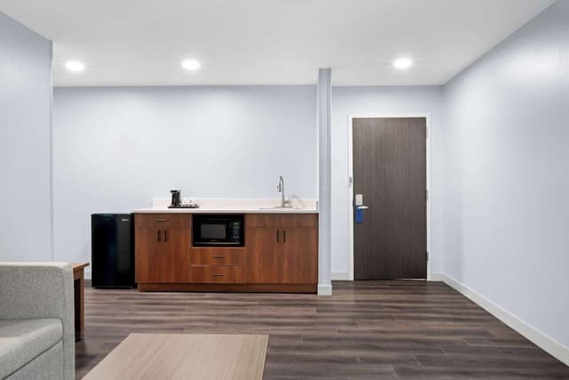 Suite, 1 King Bed, Non Smoking, Kitchenette (Shower Only;with Sofabed)