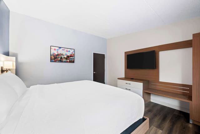 Suite, 1 King Bed, Non Smoking, Kitchenette (Shower Only;with Sofabed)