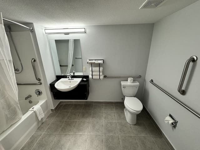 Standard Room, 1 King Bed, Accessible, Non Smoking