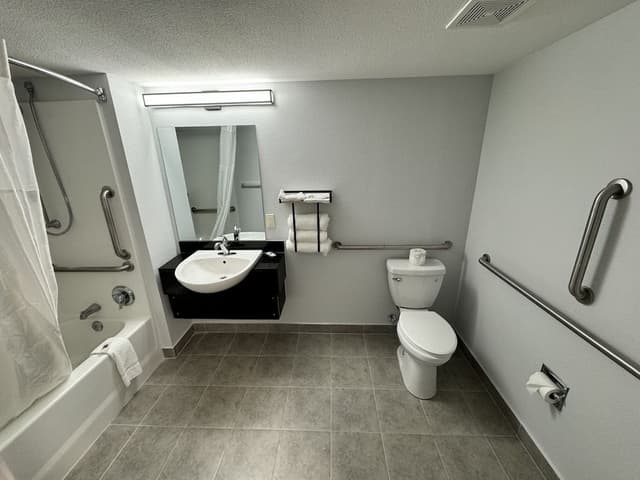 Standard Room, 1 King Bed, Accessible, Non Smoking
